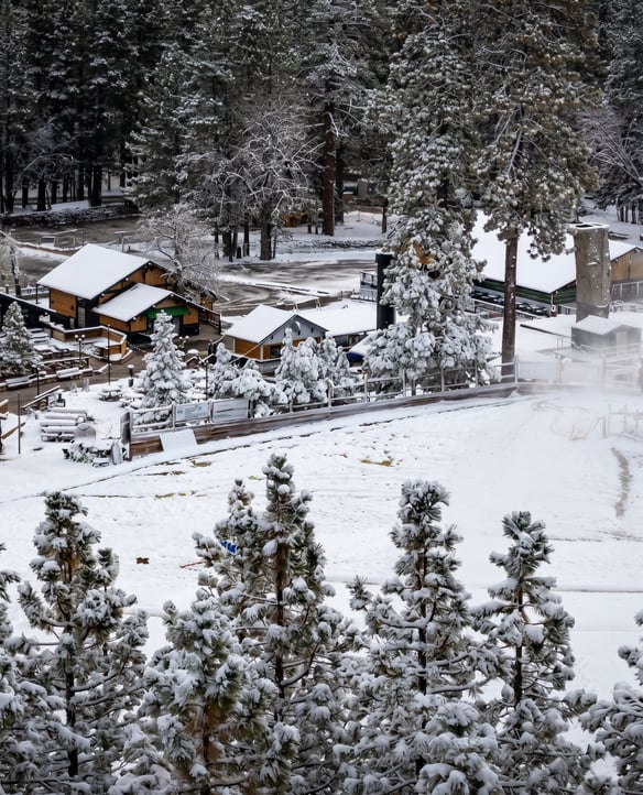 Winter Cabins.